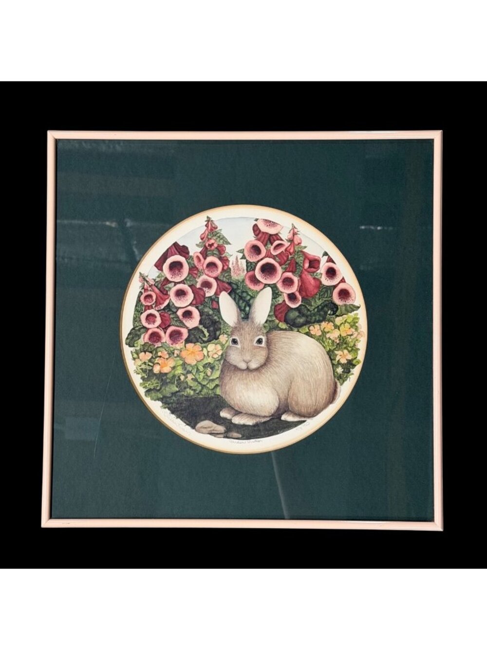 Floral Bunny Rabbit Print Lillian Evans Garden Visitor Signed Framed 80s Lt Ed